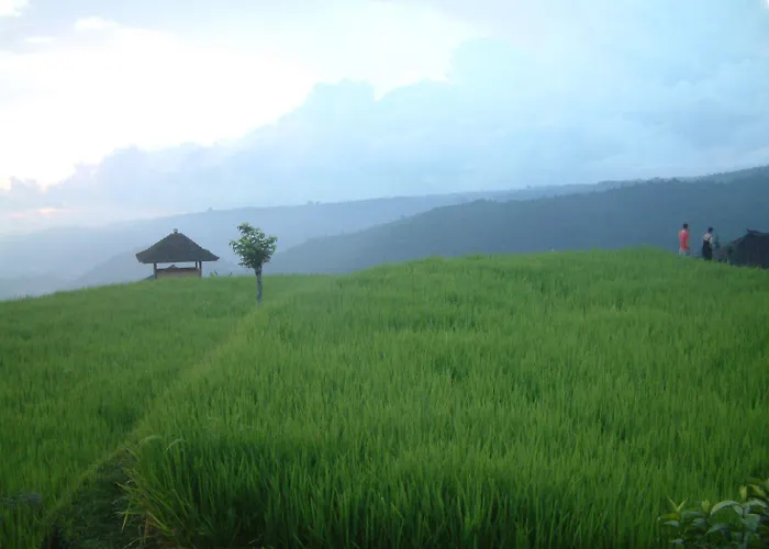 Puri Lumbung Restaurant & Holiday park