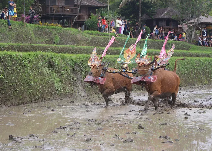 Holiday park Puri Lumbung Restaurant & 2*