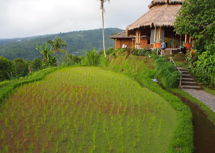 Puri Lumbung Restaurant & 2* Munduk (Bali)