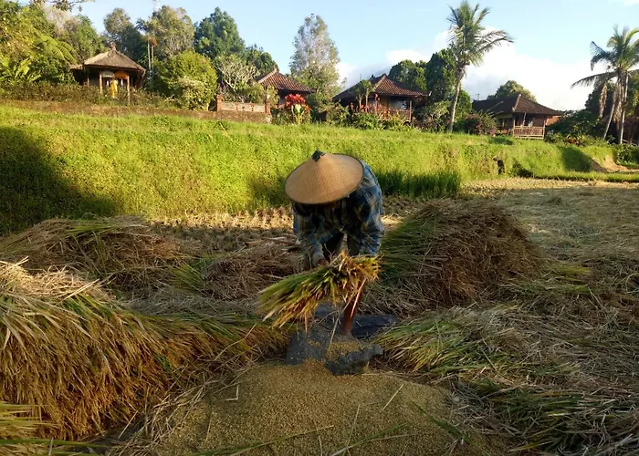 Holiday park Puri Lumbung Restaurant &